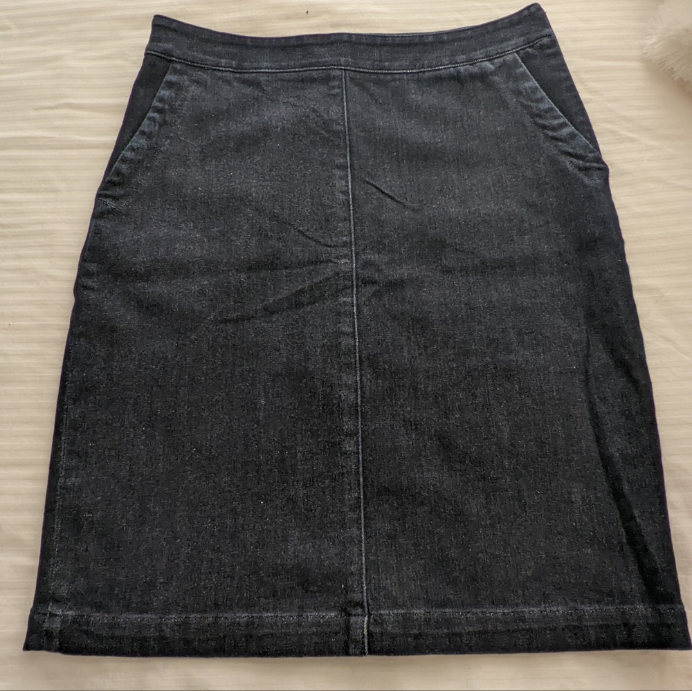 Banana Republic Premium Ladies Skirt Size 4